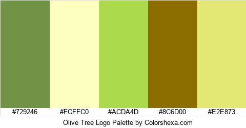 Olive Tree Logo Colors Logo