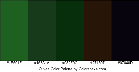 Olives Color Colors Logo