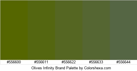 Olives Infinity Brand Colors Logo