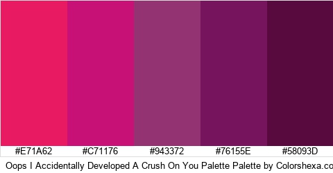 Oops I Accidentally Developed A Crush On You Palette Colors Logo