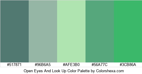 Open Eyes And Look Up Color Colors Logo