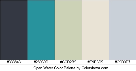 Open Water Color Colors Logo