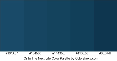 Or In The Next Life Color Colors Logo