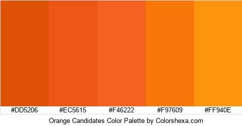 Orange Candidates Color Colors Logo