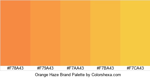 Orange Haze Brand Colors Logo