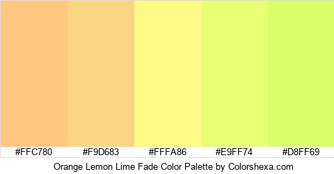 Orange Lemon Lime Fade Color Colors Logo