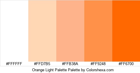 Orange Light Palette Colors Logo