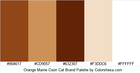 Orange Maine Coon Cat Brand Colors Logo
