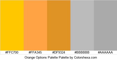 Orange Options Palette Colors Logo