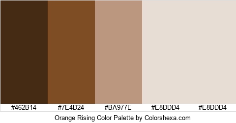 Orange Rising Color Colors Logo