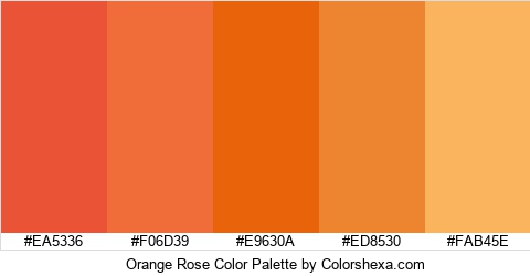 Orange Rose Color Colors Logo