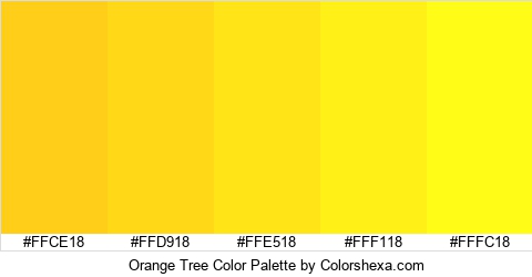 Orange Tree Color Colors Logo