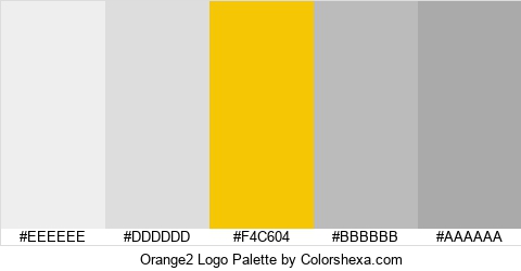 Orange2 Logo Colors Logo
