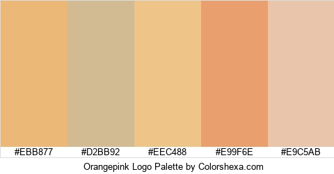 Orangepink Logo Colors Logo