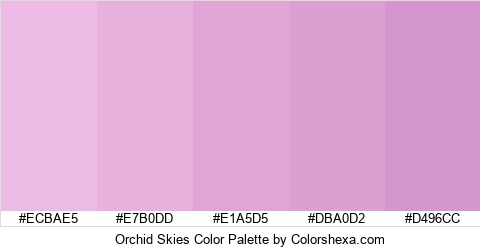 Orchid Skies Color Colors Logo