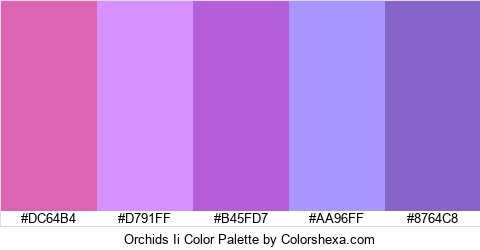 Orchids Ii Color Colors Logo