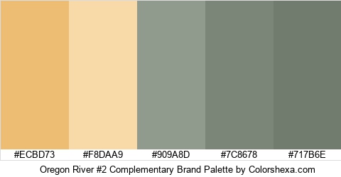 Oregon River #2 Complementary Brand Colors Logo