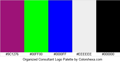 Organized Consultant Logo Colors Logo