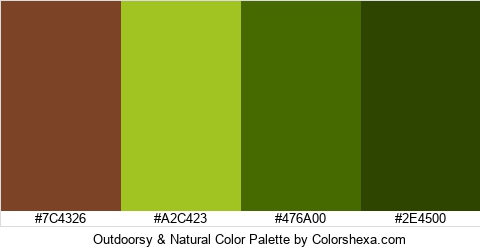 Outdoorsy & Natural Color Colors Logo