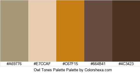 Owl Tones Palette Colors Logo