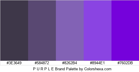 P U R P L E Brand Colors Logo
