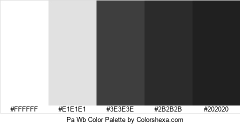 Pa Wb Color Palette #FFFFFF #E1E1E1 #3E3E3E #2B2B2B #202020 Hex