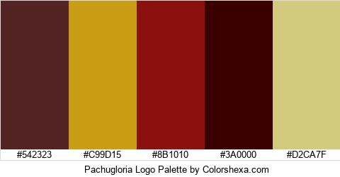 Pachugloria Logo Colors Logo