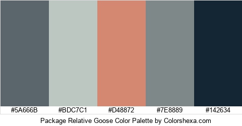 Package Relative Goose Color Colors Logo