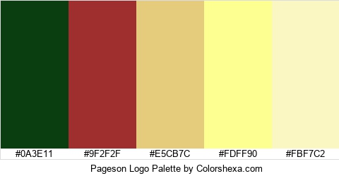 Pageson Logo Colors Logo
