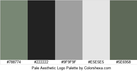 Pale Aesthetic Logo Colors Logo