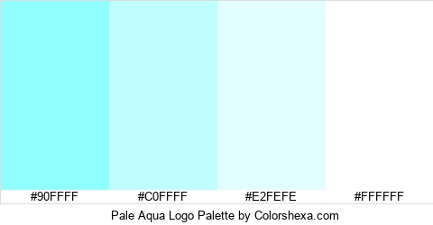 Pale Aqua Logo Colors Logo