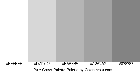 Pale Grays Palette Colors Logo