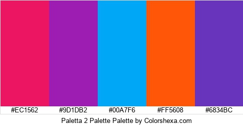 Paletta 2 Palette Colors Logo