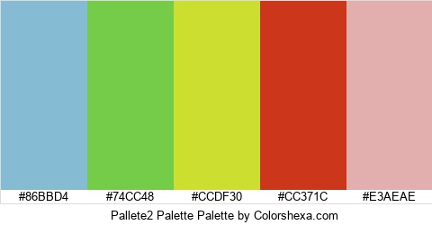Pallete2 Palette Colors Logo