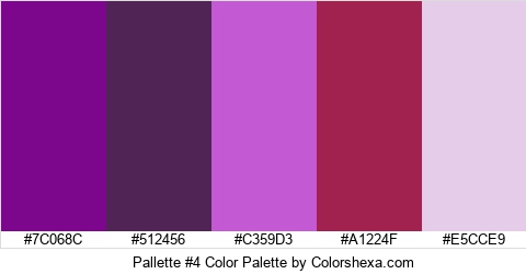 Pallette #4 Color Colors Logo