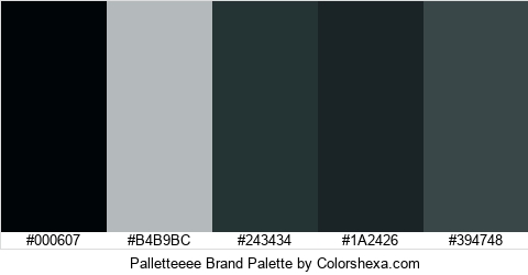 Palletteeee Brand Colors Logo