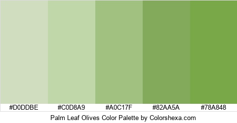 Palm Leaf Olives Color Colors Logo