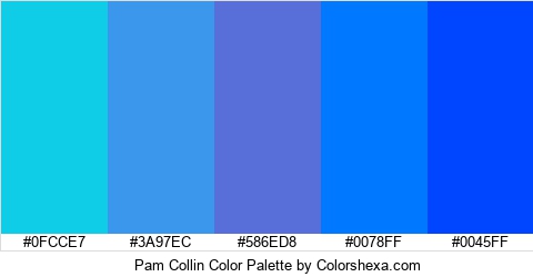 Pam Collin Color Colors Logo