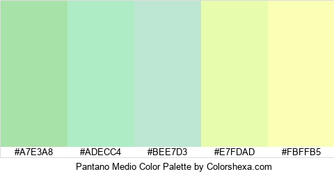 Pantano Medio Color Colors Logo