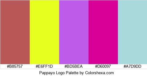 Pappayo Logo Colors Logo