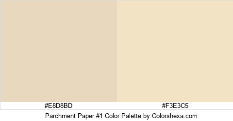 Parchment Paper #1 Color Colors Logo