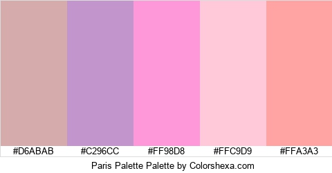 Paris Palette Colors Logo