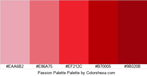 Passion Palette Colors Logo