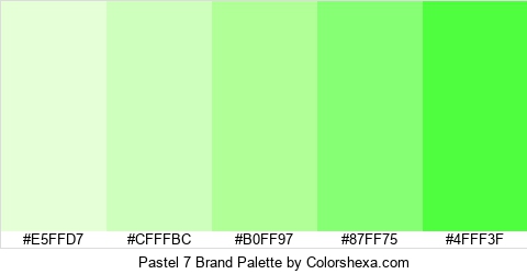 Pastel 7 Brand Colors Logo