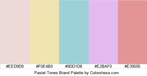 Pastel Tones Brand Colors Logo