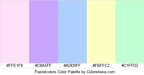 Pastelcolors Color Colors Logo
