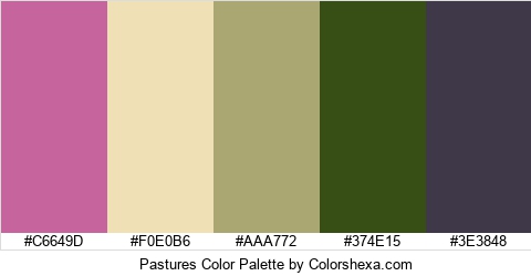 Pastures Color Colors Logo