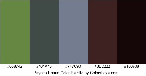 Paynes Prairie Color Colors Logo