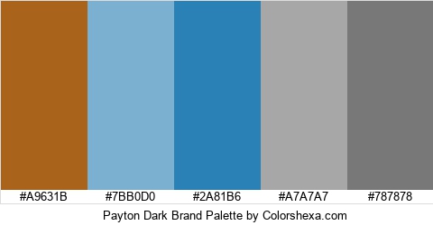 Payton Dark Brand Colors Logo