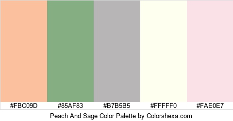 Peach And Sage Color Colors Logo